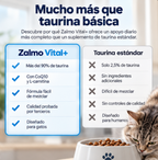ZALMO · Vital +
