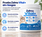 ZALMO · Vital +
